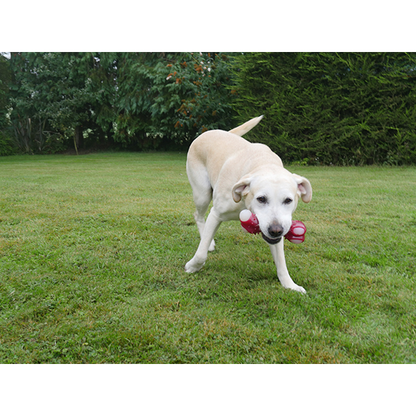 Rosewood Meaty Bacon Takeaway Bone