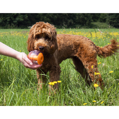 Rosewood Giggling Sound Interactive Treat Ball