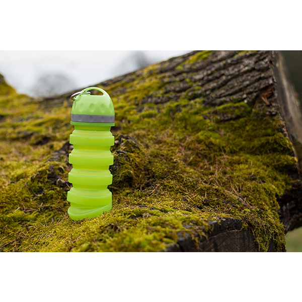 Rosewood Portable Collapsible Travel Bottle