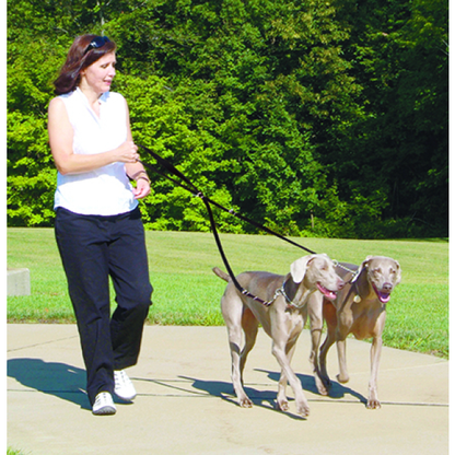 Rosewood Multi-Function Nylon Dog Lead