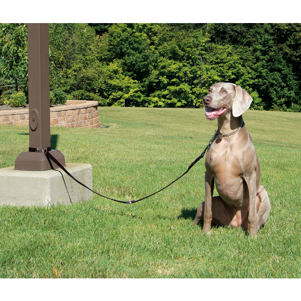 Rosewood Multi-Function Nylon Dog Lead