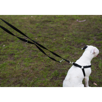 Rosewood Multi-Function Nylon Dog Lead