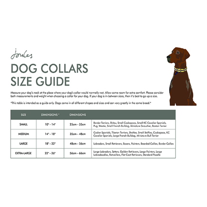 Rosewood Joules - Navy Leather Collar