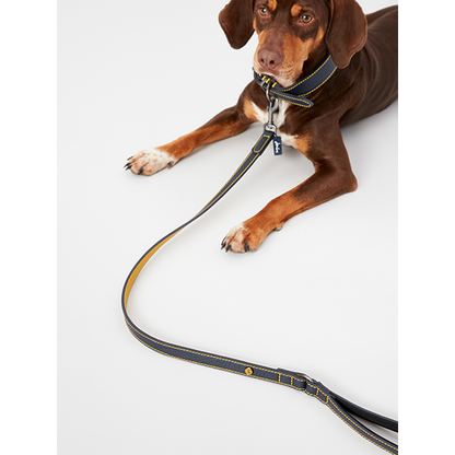 Rosewood Joules - Navy Leather Lead