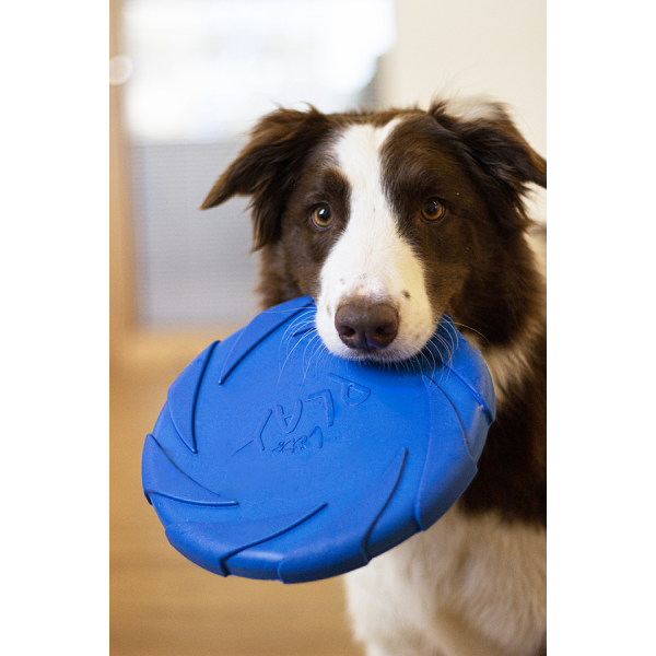 Rosewood Battersea Foam Frisbee