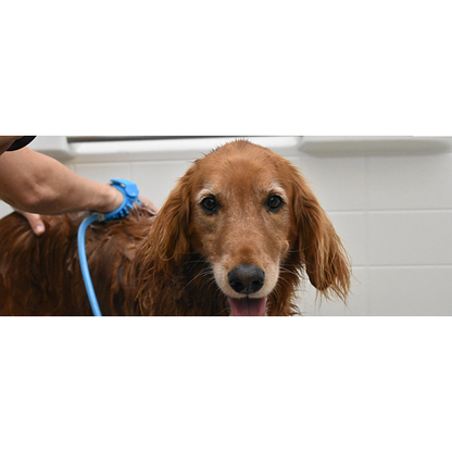 Rosewood Pet Bathing Tool