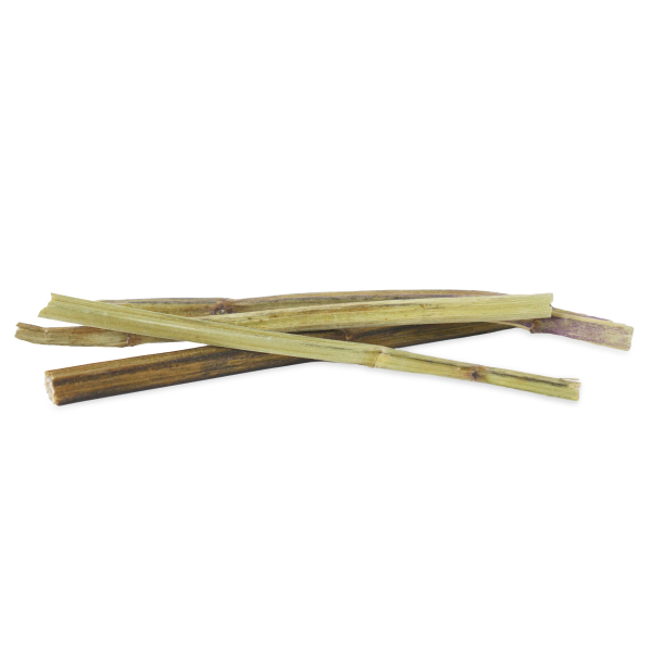 Rosewood Naturals for Cat Catnip Sticks