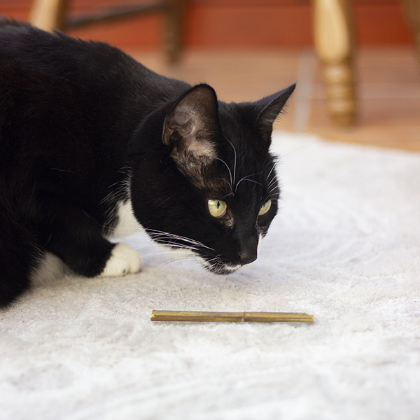 Rosewood Naturals for Cat Catnip Sticks