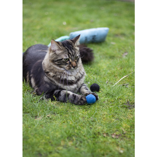 Rosewood Battersea Pounce Cat Balls (4pcs)