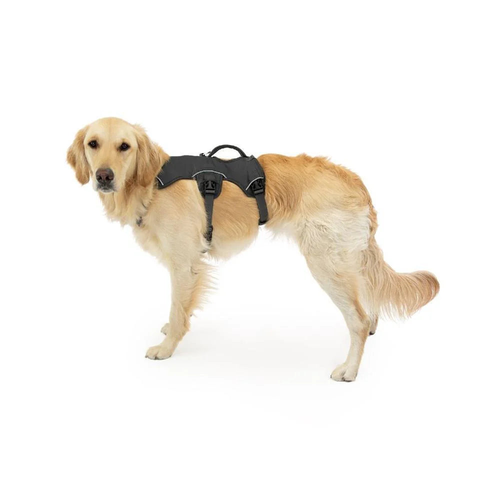 Ruffwear Webmaster Multi-Use Harness