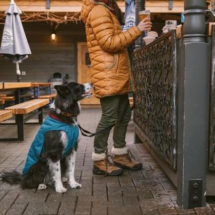 Ruffwear Stumptown Jacket