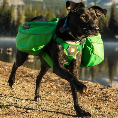 Ruffwear Approach Day Pack