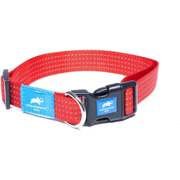 Animal Planet Classic Collar