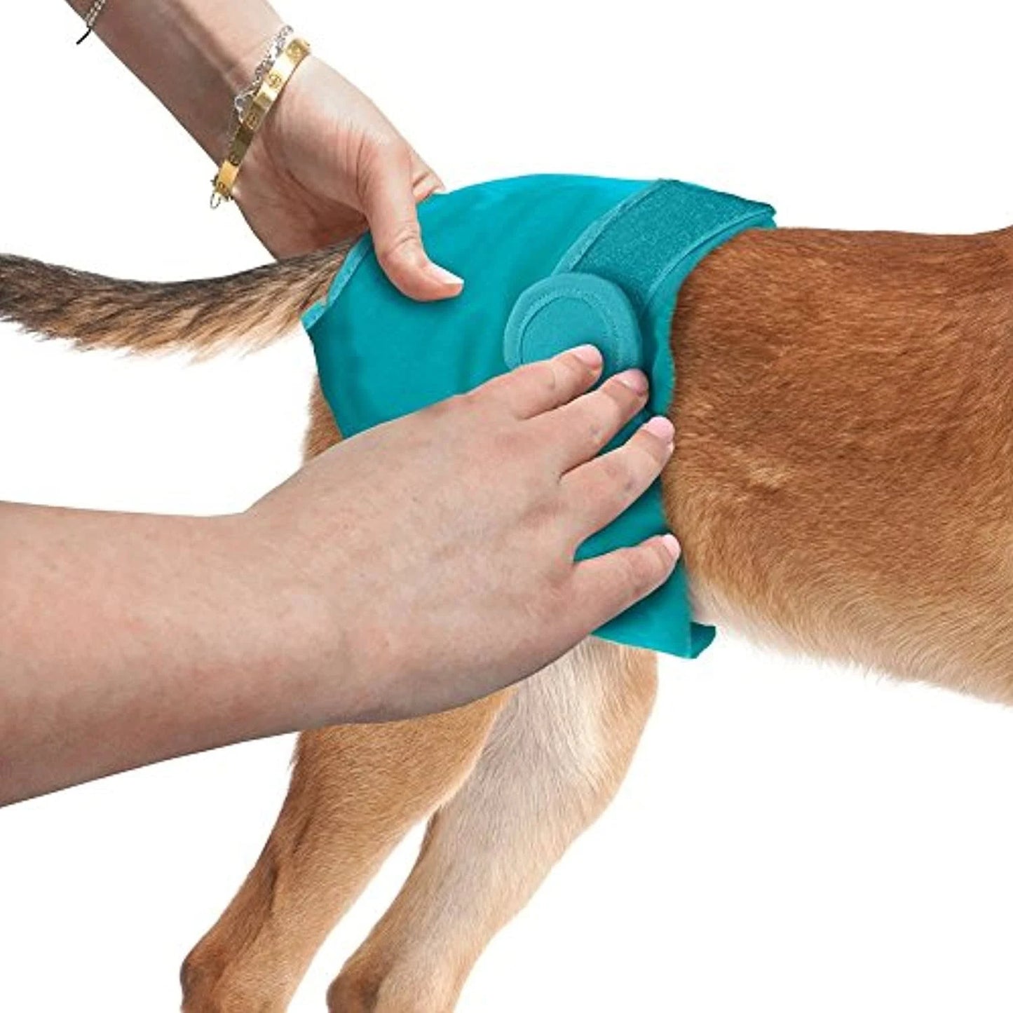 Simple Solution Washable Dog Diapers