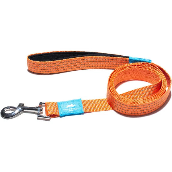 Animal Planet Premium Padded Lead