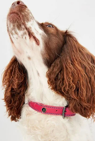 Rosewood Joules - Pink Leather Collar