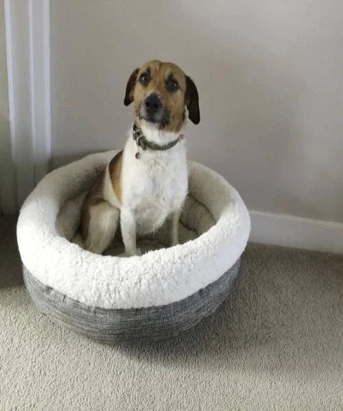 Rosewood Deep Tweed Teddy Bear Round Bed