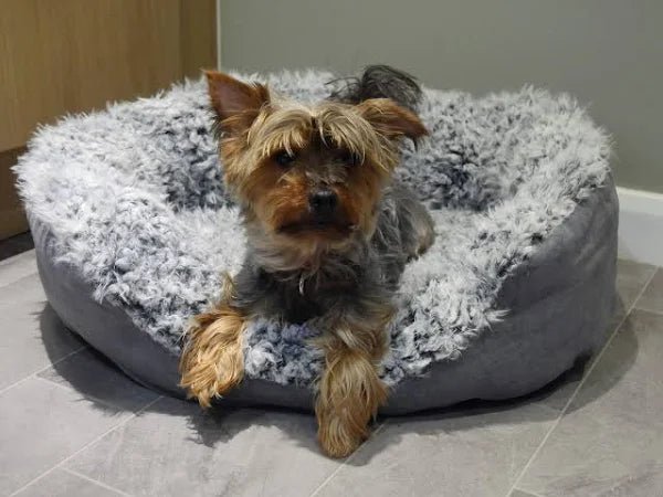 Rosewood Lion Faux Suede Oval Bed