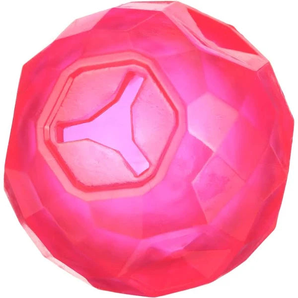 Rosewood BioSafe Puppy Treat Ball