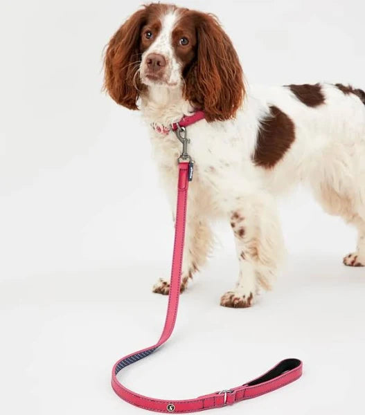 Rosewood Joules - Pink Leather Lead