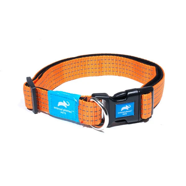 Animal Planet Premium Padded Collar