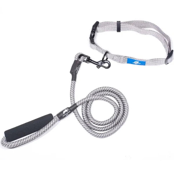 Animal Planet Collar & Rope Lead Bundle