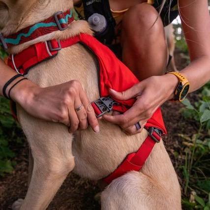 Ruffwear Switchbak Harness