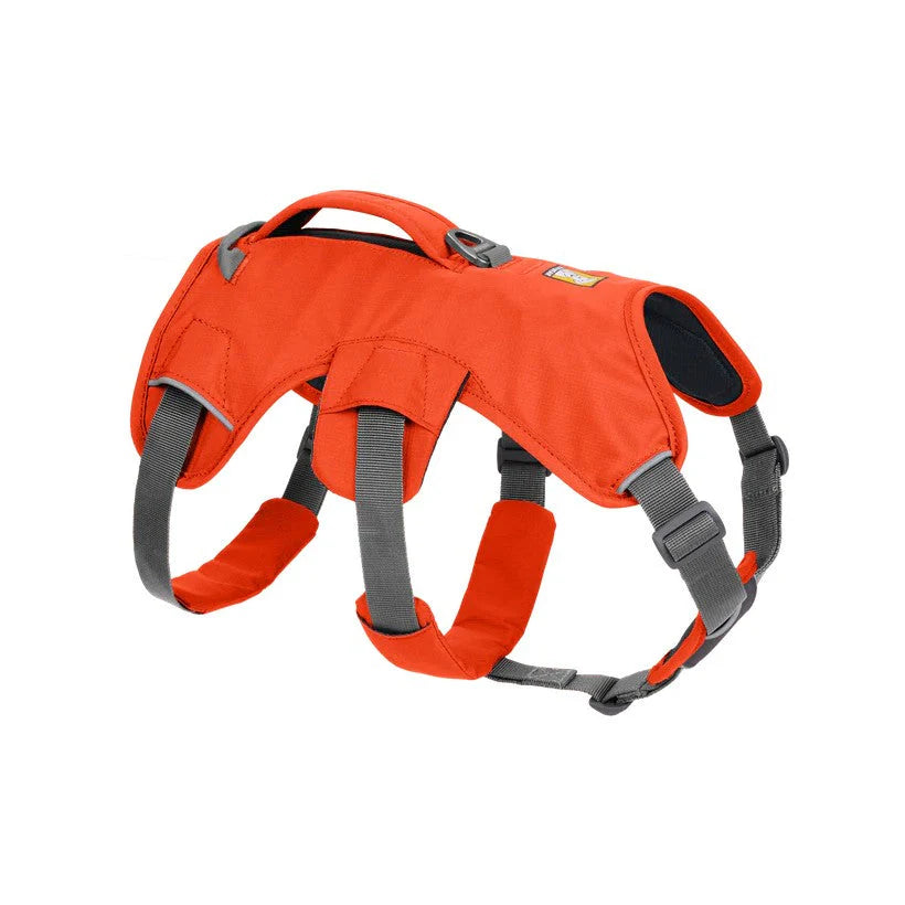 Ruffwear Webmaster Multi-Use Harness (New)